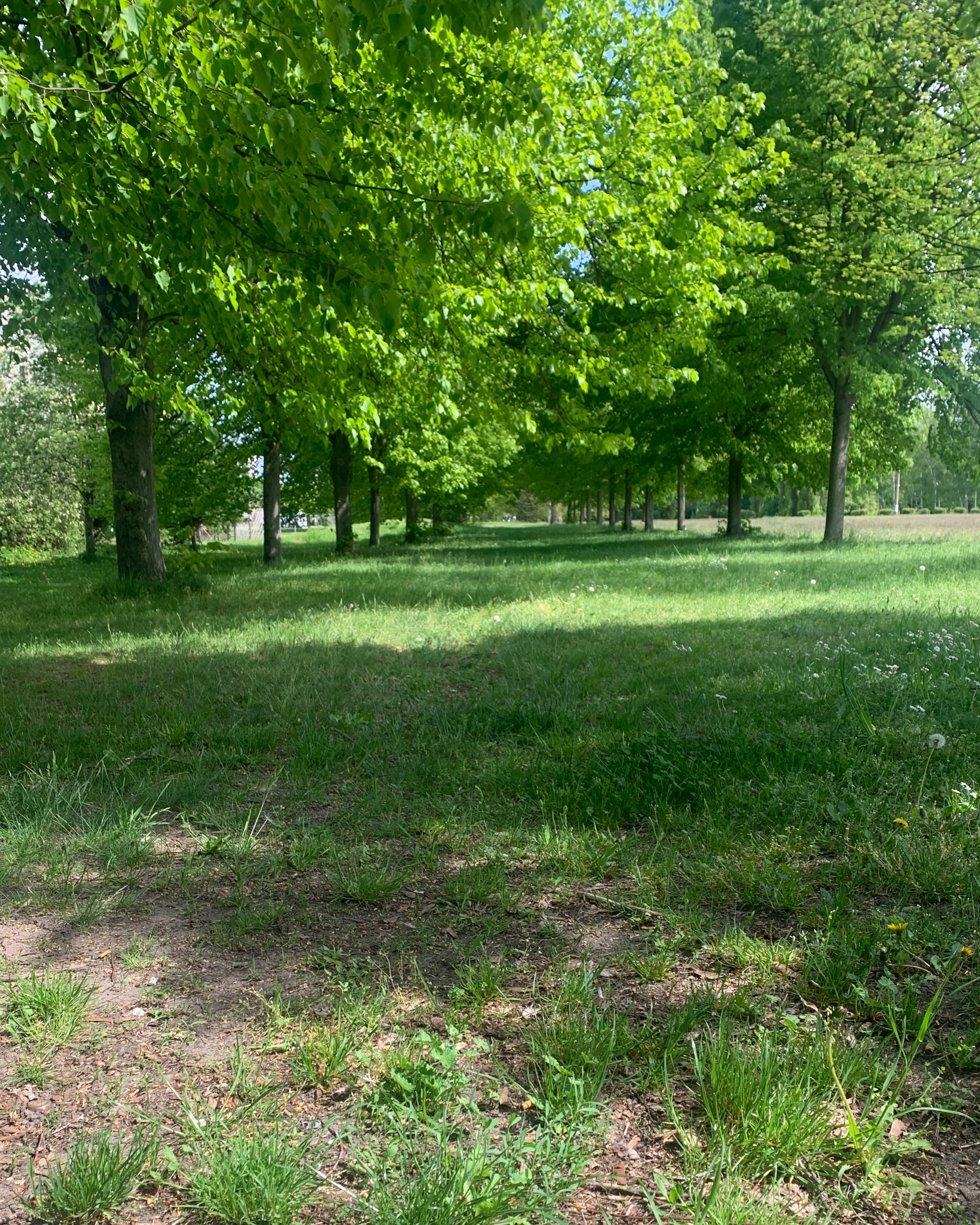 Wochenendrebellen